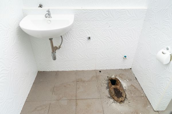 Toilet Disposal in Great Falls